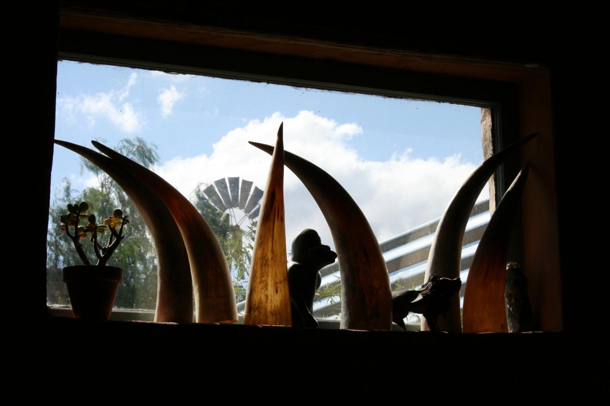 Wolverfontein Karoo Cottages Ladismith Exterior photo