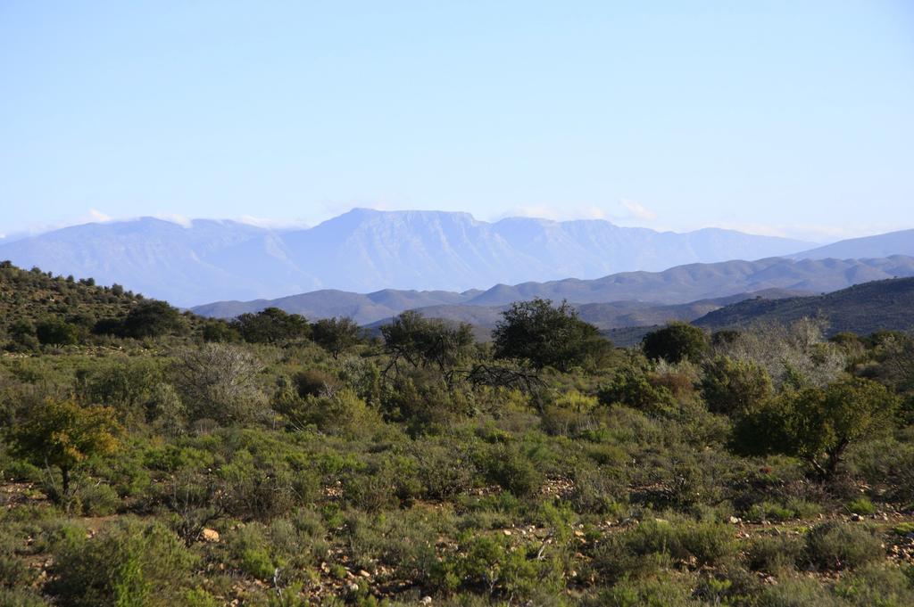 Wolverfontein Karoo Cottages Ladismith Exterior photo